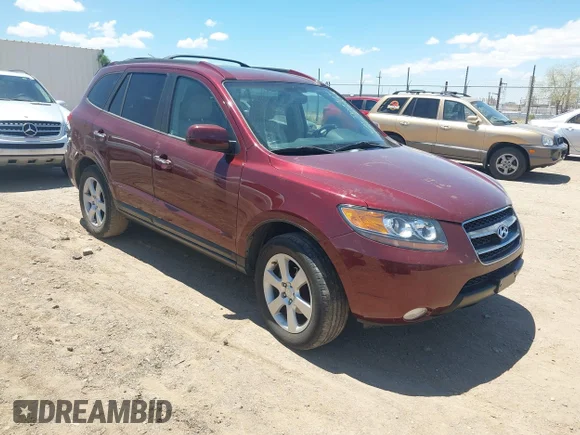 ✅ 2007 Hyundai Santa Fe SE • VIN: 5NMSH13E17H084306 • Lot: 45079932. Listed on IAAI with 161,705 mi. Free auction sales archive from the USA and detailed vehicle history report at DreamBid. Image 1.