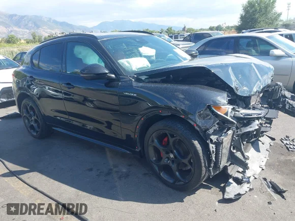 ✅ 2022 Alfa Romeo Stelvio Ti • VIN: ZASPAKBNXN7D32582 • Лот: 43074685. Опубліковано раніше на IAAI з пробігом Не вказано. Безкоштовний доступ до архіву аукціонних продажів зі США та докладний звіт про історію автомобіля на DreamBid. Зображення 1.