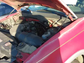 ✅ 1999 Ford F-250 • VIN: 1FTRX27L0XNA29669 • Lot: 43404420. Wystawiony na IAAI z przebiegiem Nie podano. Bezpłatny archiwum sprzedaży aukcyjnych z USA i szczegółowy raport historii pojazdu na DreamBid. Zdjęcie 13.