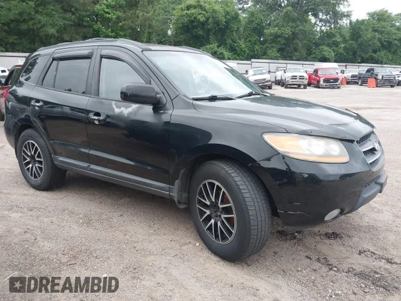 ✅ 2008 Hyundai Santa Fe SE • VIN: 5NMSH73EX8H187146 • Lot: 44965861. Listed on IAAI with 142,538 mi. Free auction sales archive from the USA and detailed vehicle history report at DreamBid. Image 1.