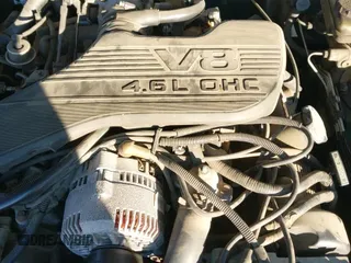 ✅ 1995 Ford Thunderbird LX • VIN: 1FALP62W3SH191775 • Лот: 41250513. Опубликован ранее на IAAI с пробегом 150 743 миль. Бесплатный доступ к архиву аукционных продаж из США и подробный отчёт об истории автомобиля на DreamBid. Изображение 19.