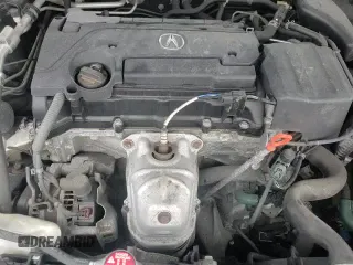 ✅ 2019 Acura TLX • VIN: 19UUB1F34KA007504 • Lot: 81066415. Listed on Copart with 52,075 mi. Free auction sales archive from the USA and detailed vehicle history report at DreamBid. Image 13.