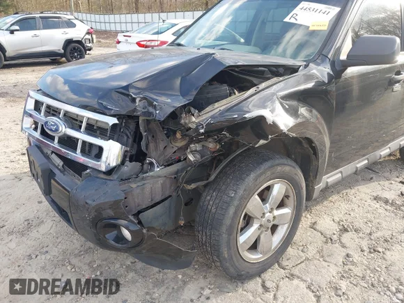 ✅ 2010 Ford Escape XLT • VIN: 1FMCU9DG1AKB64002 • Lot: 44531141. Wystawiony na IAAI z przebiegiem 170 030 mil. Bezpłatny archiwum sprzedaży aukcyjnych z USA i szczegółowy raport historii pojazdu na DreamBid. Zdjęcie 6.