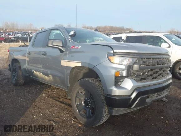 ✅ 2024 Chevrolet Silverado 1500 Work Truck • VIN: 3GCUD4EDXRG176507 • Lot: 43999911. Listed on IAAI with 3,841 mi. Free auction sales archive from the USA and detailed vehicle history report at DreamBid. Image 1.