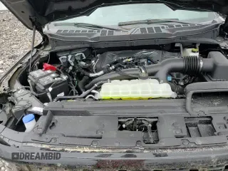 ✅ 2025 Ford F-150 STX • VIN: 1FTEW2LP7SKD09495 • Лот: 56720965. Опубликован ранее на Copart с пробегом 822 миль. Бесплатный доступ к архиву аукционных продаж из США и подробный отчёт об истории автомобиля на DreamBid. Изображение 14.