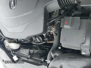 ✅ 2017 Acura TLX V6 w/Technology Pkg • VIN: 19UUB2F52HA004892 • Lot: 41512188. Listed on IAAI with 92,581 mi. Free auction sales archive from the USA and detailed vehicle history report at DreamBid. Image 20.