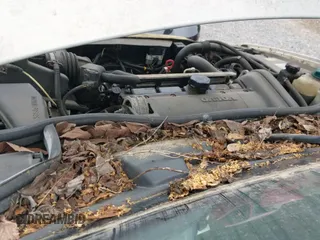 ✅ 1999 Volvo S70 • VIN: YV1LS55A2X2620251 • Лот: 42311301. Опубликован ранее на IAAI с пробегом 222 104 миль. Бесплатный доступ к архиву аукционных продаж из США и подробный отчёт об истории автомобиля на DreamBid. Изображение 14.