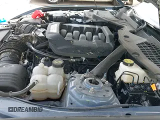 ✅ 2024 Ford Mustang GT • VIN: 1FA6P8CF7R5428951 • Lot: 42539286. Wystawiony na IAAI z przebiegiem 17 212 mil. Bezpłatny archiwum sprzedaży aukcyjnych z USA i szczegółowy raport historii pojazdu na DreamBid. Zdjęcie 13.