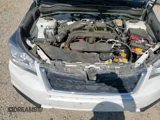 ✅ 2018 Subaru Forester • VIN: JF2SJAAC4JG569691 • Lot: 64438525. Listed on Copart with 96,796 mi. Free auction sales archive from the USA and detailed vehicle history report at DreamBid. Image 14.