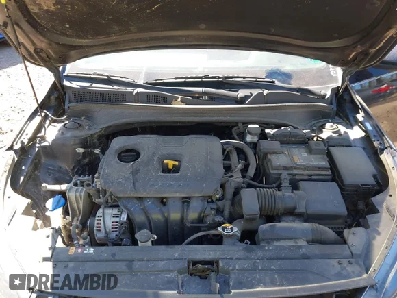 ✅ 2022 Kia Forte LXS • VIN: 3KPF24AD9NE494015 • Lot: 44669426. Listed on IAAI with 118,606 mi. Free auction sales archive from the USA and detailed vehicle history report at DreamBid. Image 10.