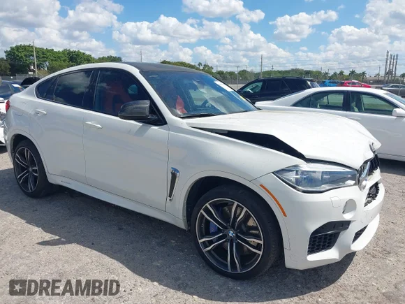 ✅ 2017 BMW X6 M • VIN: 5YMKW8C54H0R44061 • Lot: 41896644. Wystawiony na IAAI z przebiegiem 97 152 mil. Bezpłatny archiwum sprzedaży aukcyjnych z USA i szczegółowy raport historii pojazdu na DreamBid. Zdjęcie 1.