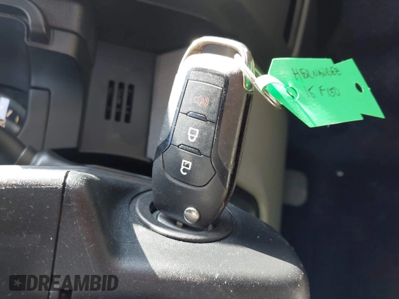 ✅ 2015 Ford F-150 XL • VIN: 1FTEW1CF7FFC25919 • Lot: 42757853. Wystawiony na IAAI z przebiegiem 81 589 mil. Bezpłatny archiwum sprzedaży aukcyjnych z USA i szczegółowy raport historii pojazdu na DreamBid. Zdjęcie 11.