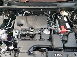 ✅ 2025 Toyota RAV4 XLE Premium • VIN: 2T3A1RFV2SW574221 • Lot: 80603325. Listed on Copart with 1,686 mi. Free auction sales archive from the USA and detailed vehicle history report at DreamBid. Image 16.