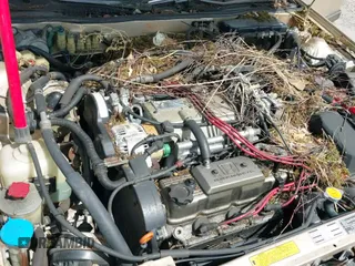 ✅ 1990 Acura Legend • VIN: JH4KA4667LC040814 • Lot: 42639592. Wystawiony na IAAI z przebiegiem 151 008 mil. Bezpłatny archiwum sprzedaży aukcyjnych z USA i szczegółowy raport historii pojazdu na DreamBid. Zdjęcie 17.