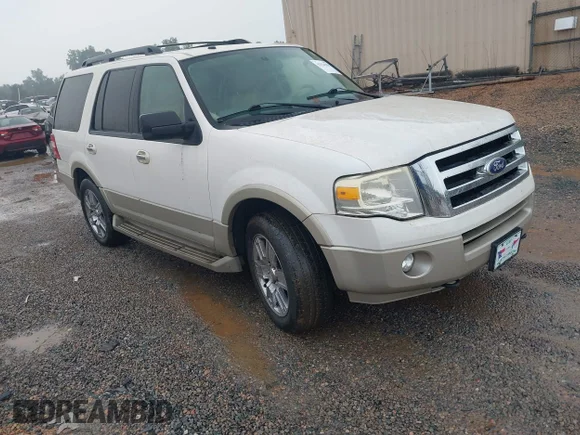 ✅ 2010 Ford Expedition Eddie Bauer • VIN: 1FMJU1J58AEA64134 • Lot: 42924288. Listed on IAAI with 163,368 mi. Free auction sales archive from the USA and detailed vehicle history report at DreamBid. Image 1.