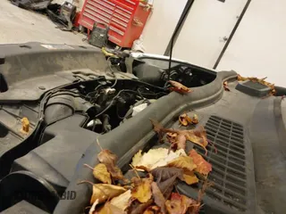 ✅ 2016 Ford Escape SE • VIN: 1FMCU9G94GUA82310 • Lot: 43630051. Listed on IAAI with 158,165 mi. Free auction sales archive from the USA and detailed vehicle history report at DreamBid. Image 12.