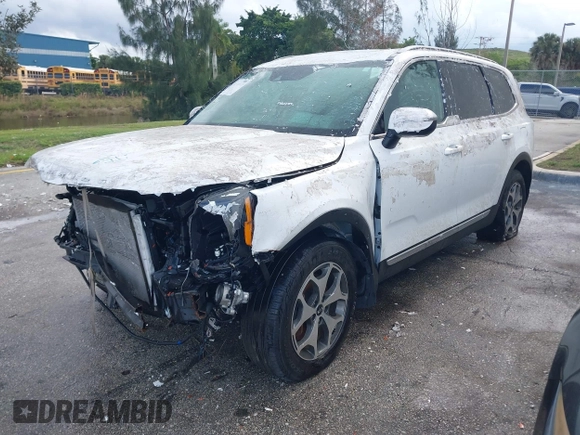 ✅ 2020 Kia Telluride EX • VIN: 5XYP34HC0LG083455 • Lot: 31316618. Wystawiony na IAAI z przebiegiem 18 476 mil. Bezpłatny archiwum sprzedaży aukcyjnych z USA i szczegółowy raport historii pojazdu na DreamBid. Zdjęcie 2.