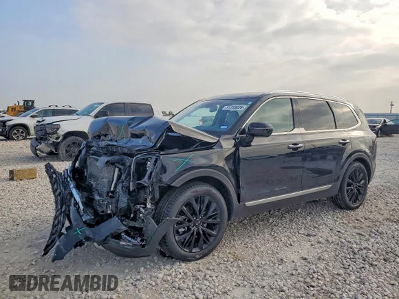 ✅ 2020 Kia Telluride SX • VIN: 5XYP54HC3LG055255 • Лот: 51255026. Опубліковано раніше на Copart з пробігом 55 280 миль. Безкоштовний доступ до архіву аукціонних продажів зі США та докладний звіт про історію автомобіля на DreamBid. Зображення 1.