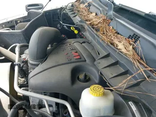 ✅ 2010 Dodge 1500 SLT • VIN: 1D7RB1CT2AS144707 • Lot: 42330344. Wystawiony na IAAI z przebiegiem 238 672 mil. Bezpłatny archiwum sprzedaży aukcyjnych z USA i szczegółowy raport historii pojazdu na DreamBid. Zdjęcie 19.