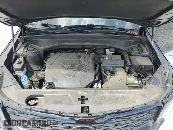 ✅ 2021 Kia Telluride EX • VIN: 5XYP3DHC6MG104634 • Lot: 66203464. Wystawiony na Copart z przebiegiem 74 607 mil. Bezpłatny archiwum sprzedaży aukcyjnych z USA i szczegółowy raport historii pojazdu na DreamBid. Zdjęcie 13.