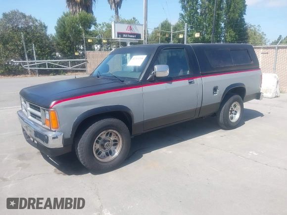 ✅ 1988 Dodge Dakota • VIN: 1B7GN14X0JS704704 • Lot: 42213218. Wystawiony na IAAI z przebiegiem 164 291 mil. Bezpłatny archiwum sprzedaży aukcyjnych z USA i szczegółowy raport historii pojazdu na DreamBid. Zdjęcie 2.