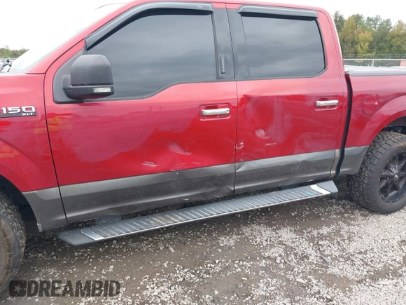 ✅ 2018 Ford F-150 XL • VIN: 1FTEW1CP8JKC91243 • Lot: 43441665. Wystawiony na IAAI z przebiegiem 125 947 mil. Bezpłatny archiwum sprzedaży aukcyjnych z USA i szczegółowy raport historii pojazdu na DreamBid. Zdjęcie 6.