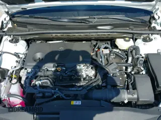 ✅ 2025 Toyota Camry LE • VIN: 4T1DBADK5SU009183 • Lot: 42789725. Listed on IAAI with 11,475 mi. Free auction sales archive from the USA and detailed vehicle history report at DreamBid. Image 19.