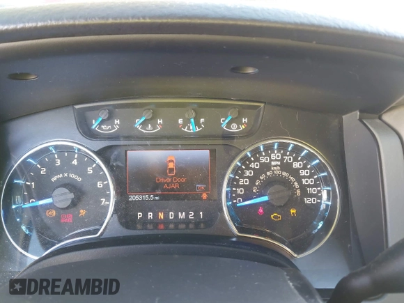 ✅ 2013 Ford F-150 XLT • VIN: 1FTEX1CM8DFB15132 • Lot: 43634926. Wystawiony na IAAI z przebiegiem 205 315 mil. Bezpłatny archiwum sprzedaży aukcyjnych z USA i szczegółowy raport historii pojazdu na DreamBid. Zdjęcie 7.