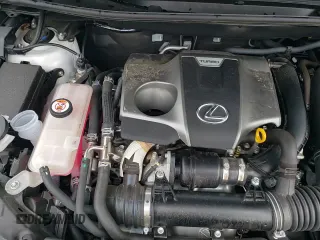 ✅ 2020 Lexus NX • VIN: JTJHARDZXL5015963 • Lot: 55219545. Listed on Copart with 8,490 mi. Free auction sales archive from the USA and detailed vehicle history report at DreamBid. Image 14.