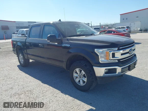 ✅ 2019 Ford F-150 XL • VIN: 1FTEW1EB8KFB47297 • Lot: 43695464. Listed on IAAI with 207,666 mi. Free auction sales archive from the USA and detailed vehicle history report at DreamBid. Image 1.