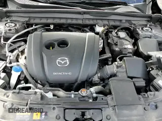 ✅ 2023 Mazda CX-50 S Premium Plus • VIN: 7MMVABEM3PN118809 • Lot: 82472685. Wystawiony na Copart z przebiegiem 7 247 mil. Bezpłatny archiwum sprzedaży aukcyjnych z USA i szczegółowy raport historii pojazdu na DreamBid. Zdjęcie 14.