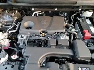 ✅ 2025 Toyota RAV4 LE • VIN: 2T3G1RFV0SW574437 • Lot: 91165995. Wystawiony na Copart z przebiegiem 686 mil. Bezpłatny archiwum sprzedaży aukcyjnych z USA i szczegółowy raport historii pojazdu na DreamBid. Zdjęcie 14.