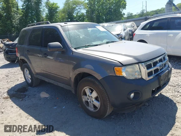 ✅ 2009 Ford Escape XLT • VIN: 1FMCU03G59KC38501 • Лот: 45263168. Опубликован ранее на IAAI с пробегом 228 456 миль. Бесплатный доступ к архиву аукционных продаж из США и подробный отчёт об истории автомобиля на DreamBid. Изображение 1.