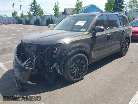 ✅ 2022 Kia Telluride EX • VIN: 5XYP3DHC3NG252046 • Lot: 45008050. Wystawiony na IAAI z przebiegiem 75 131 mil. Bezpłatny archiwum sprzedaży aukcyjnych z USA i szczegółowy raport historii pojazdu na DreamBid. Zdjęcie 2.