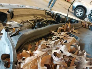 ✅ 2017 Ford Escape SE • VIN: 1FMCU0GD6HUB14787 • Lot: 43629650. Listed on IAAI with 143,286 mi. Free auction sales archive from the USA and detailed vehicle history report at DreamBid. Image 19.