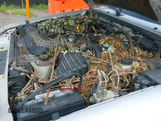 ✅ 2002 Ford Ranger XL • VIN: 1FTYR14D12PA83234 • Lot: 42522975. Listed on IAAI with 196,472 mi. Free auction sales archive from the USA and detailed vehicle history report at DreamBid. Image 13.