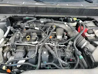 ✅ 2022 Ford Maverick XL • VIN: 3FTTW8E92NRA76862 • Lot: 69763565. Wystawiony na Copart z przebiegiem 66 478 mil. Bezpłatny archiwum sprzedaży aukcyjnych z USA i szczegółowy raport historii pojazdu na DreamBid. Zdjęcie 13.