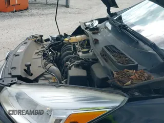 ✅ 2016 Ford Escape SE • VIN: 1FMCU0G71GUA77253 • Lot: 43581015. Listed on IAAI with 98,738 mi. Free auction sales archive from the USA and detailed vehicle history report at DreamBid. Image 19.