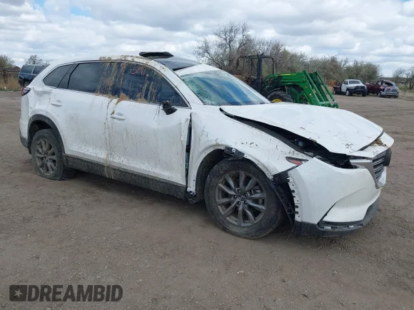 ✅ 2023 Mazda CX-9 Touring • VIN: JM3TCBCY9P0649945 • Lot: 44995011. Wystawiony na IAAI z przebiegiem 36 455 mil. Bezpłatny archiwum sprzedaży aukcyjnych z USA i szczegółowy raport historii pojazdu na DreamBid. Zdjęcie 1.