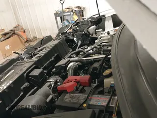 ✅ 2025 Nissan Kicks SV • VIN: 3N8AP6CBXSL375355 • Lot: 43204726. Wystawiony na IAAI z przebiegiem 7 101 mil. Bezpłatny archiwum sprzedaży aukcyjnych z USA i szczegółowy raport historii pojazdu na DreamBid. Zdjęcie 19.