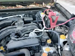 ✅ 2025 Subaru Outback Premium • VIN: 4S4BTADC1S3155714 • Лот: 86506855. Опубликован ранее на Copart с пробегом 17 278 миль. Бесплатный доступ к архиву аукционных продаж из США и подробный отчёт об истории автомобиля на DreamBid. Изображение 14.