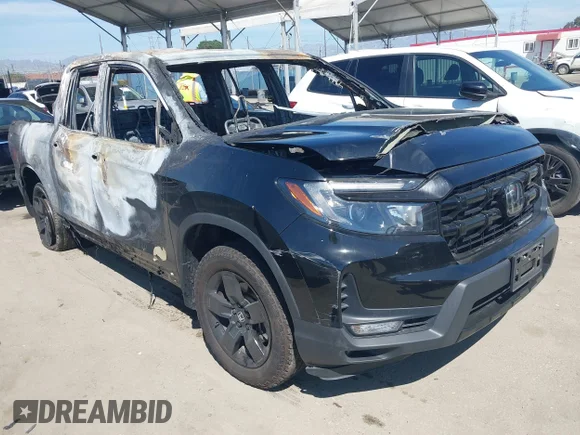 ✅ 2024 Honda Ridgeline Black Edition • VIN: 5FPYK3F89RB015601 • Lot: 41880308. Wystawiony na IAAI z przebiegiem Nie podano. Bezpłatny archiwum sprzedaży aukcyjnych z USA i szczegółowy raport historii pojazdu na DreamBid. Zdjęcie 1.
