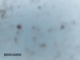 ✅ 2001 Toyota Prius • VIN: JT2BK12U610036861 • Lot: 43690990. Listed on IAAI with 166,859 mi. Free auction sales archive from the USA and detailed vehicle history report at DreamBid. Image 14.