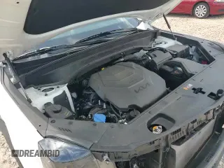 ✅ 2025 Kia Telluride EX X-Line • VIN: 5XYP3DGC0SG567979 • Lot: 59685875. Listed on Copart with 11,056 mi. Free auction sales archive from the USA and detailed vehicle history report at DreamBid. Image 17.