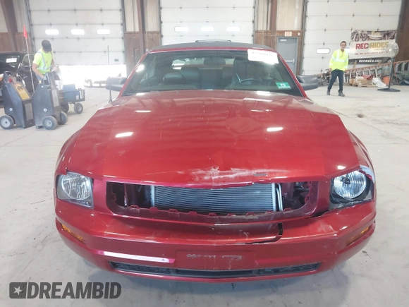 ✅ 2005 Ford Mustang Deluxe • VIN: 1ZVFT84N655243731 • Lot: 45289975. Wystawiony na IAAI z przebiegiem 67 308 mil. Bezpłatny archiwum sprzedaży aukcyjnych z USA i szczegółowy raport historii pojazdu na DreamBid. Zdjęcie 6.