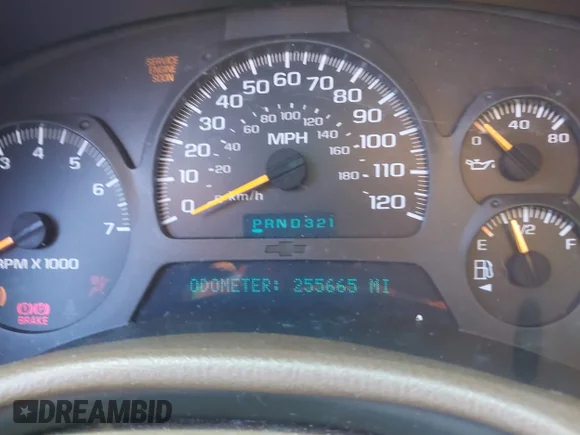 ✅ 2002 Chevrolet TrailBlazer LT • VIN: 1GNDS13S822329915 • Lot: 41665859. Wystawiony na IAAI z przebiegiem 255 665 mil. Bezpłatny archiwum sprzedaży aukcyjnych z USA i szczegółowy raport historii pojazdu na DreamBid. Zdjęcie 7.