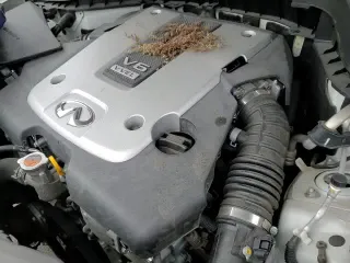 ✅ 2016 Infiniti QX70 • VIN: JN8CS1MU8GM671269 • Lot: 83116024. Listed on Copart with 65,371 mi. Free auction sales archive from the USA and detailed vehicle history report at DreamBid. Image 14.