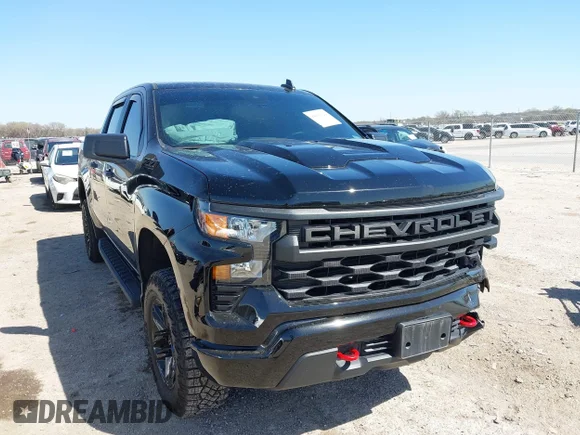 ✅ 2024 Chevrolet Silverado 1500 Custom Trail Boss • VIN: 3GCUDCED1RG370319 • Lot: 44660322. Wystawiony na IAAI z przebiegiem 24 479 mil. Bezpłatny archiwum sprzedaży aukcyjnych z USA i szczegółowy raport historii pojazdu na DreamBid. Zdjęcie 1.