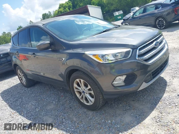 ✅ 2017 Ford Escape SE • VIN: 1FMCU0GD1HUC48476 • Lot: 45170078. Listed on IAAI with 96,738 mi. Free auction sales archive from the USA and detailed vehicle history report at DreamBid. Image 1.
