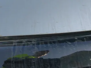 ✅ 2024 Volkswagen Jetta Sport • VIN: 3VWBM7BU9RM029929 • Lot: 43214583. Listed on IAAI with 19,778 mi. Free auction sales archive from the USA and detailed vehicle history report at DreamBid. Image 24.